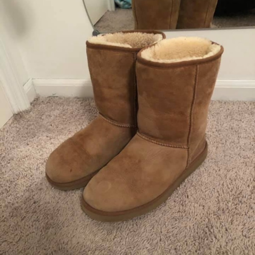 Short Chestnut Ugg Boots